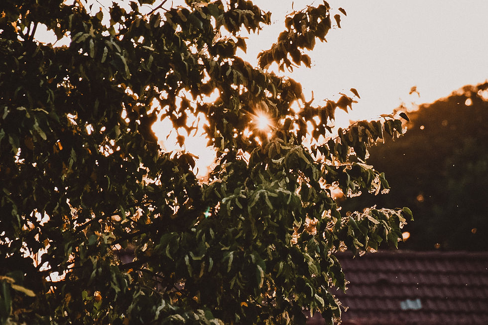 Wenn die Sonne untergeht...