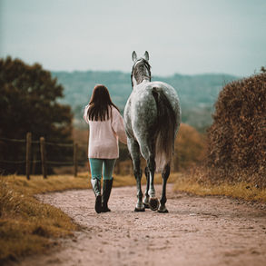 Friedvoll mit dem Pferd spazieren gehen - der einfühlsame Dialog im Gelände