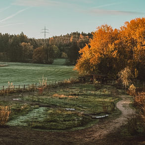 Mein Paddock-Trail-Konzept im Überblick