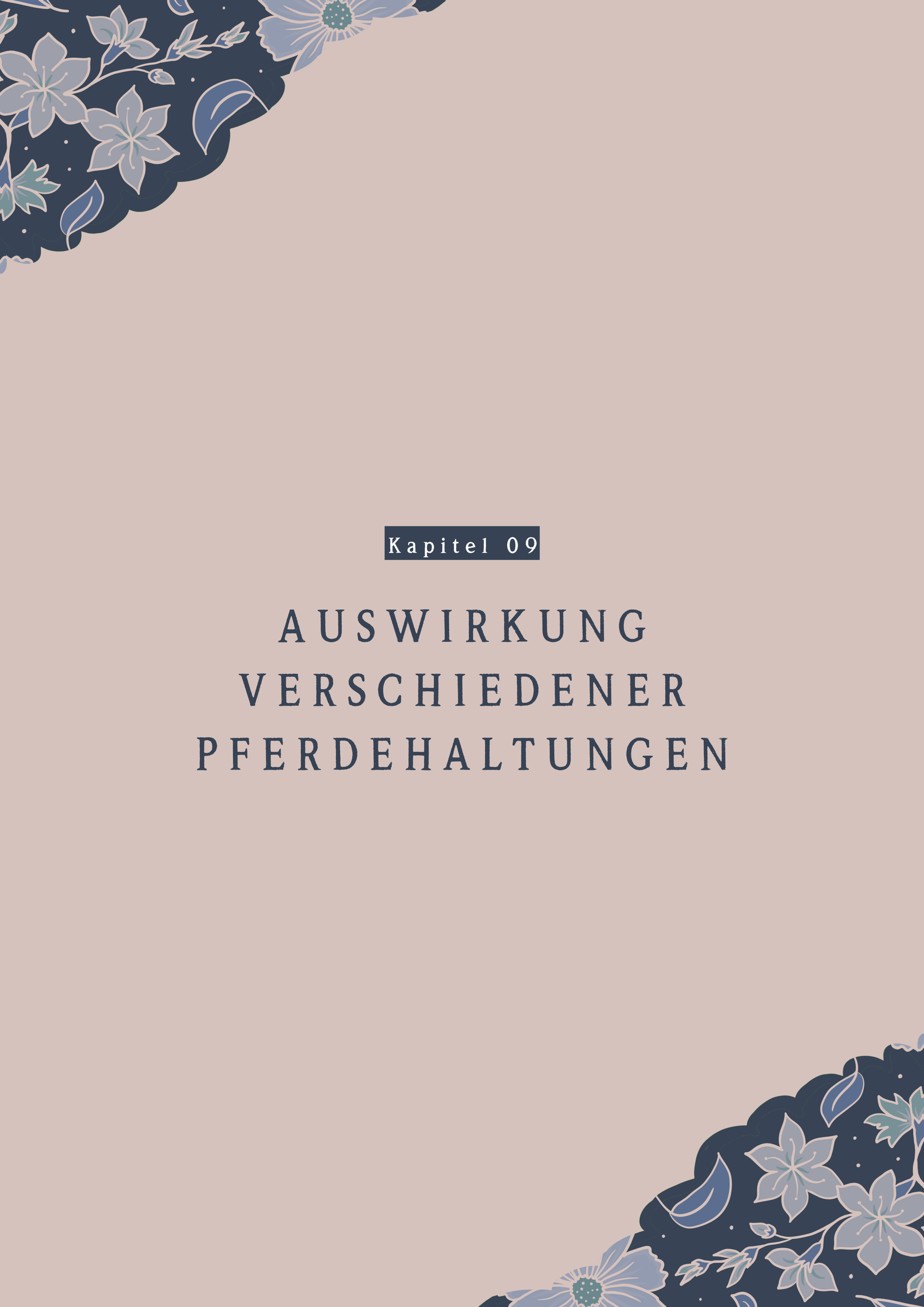 Auswirkung verschiedener Pferdehaltungen