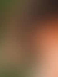 Förderst du in deinem Pferd die Kognition oder die Reaktivität?