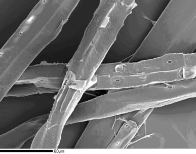 Standard Cellulose Fibre