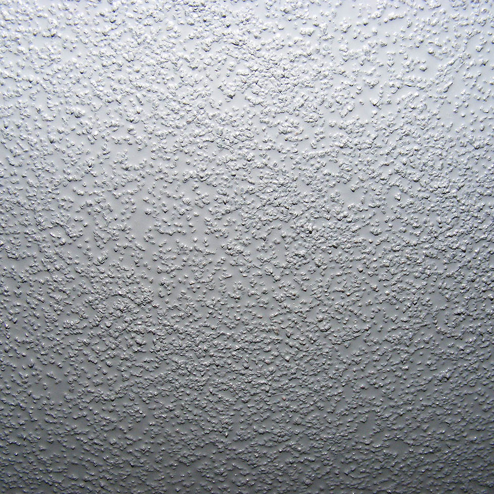 roof coat.jpg