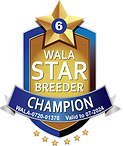 Champion Star Logo -Ireland.png