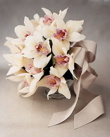 Orquídeas