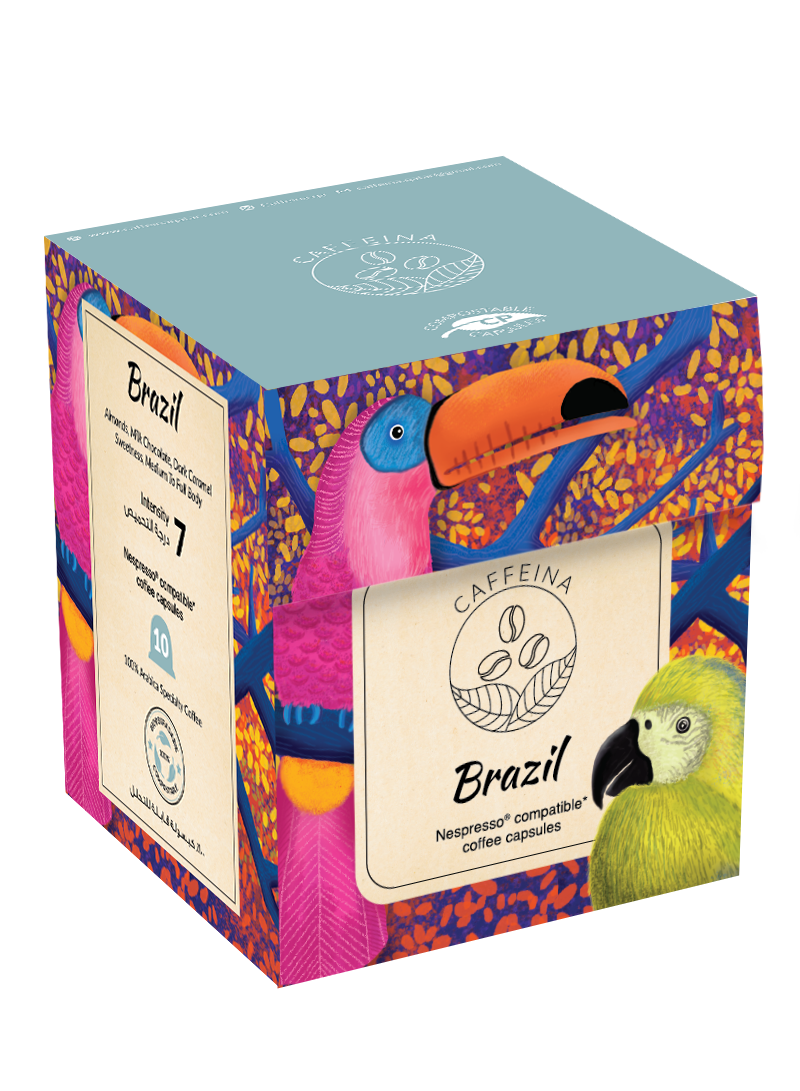 brazil-mock-up.png