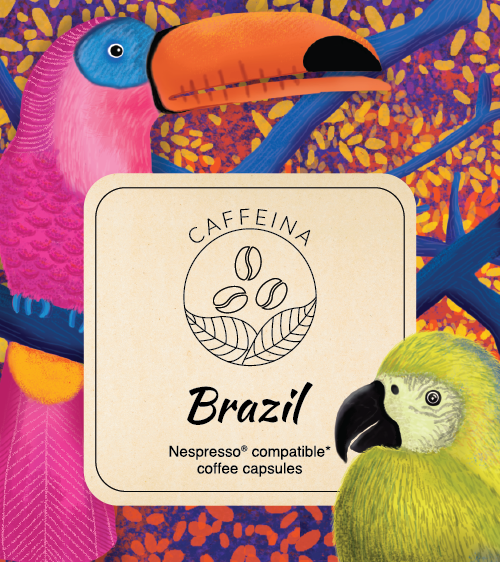 Final Look brazil Layout-01.png