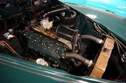 DSC02509_zpspbbfhbpp