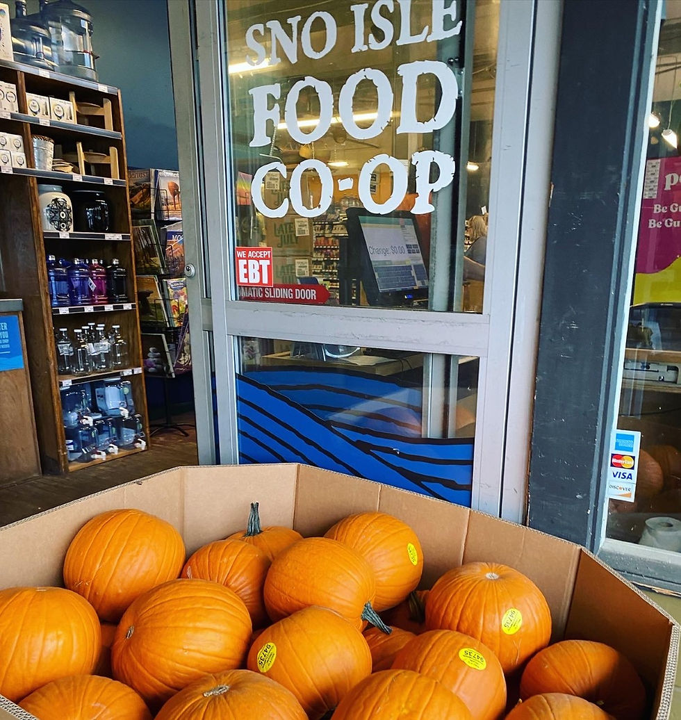 pumpkin (1)