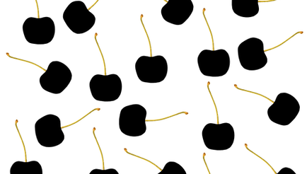 ホームページ更新しました！