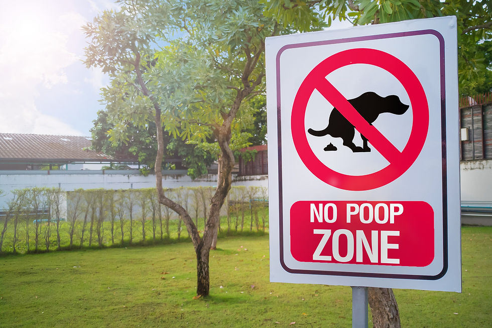 No dog poop zone
