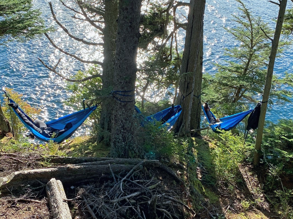 3 hammocks in Alaska