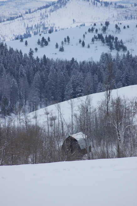 snow on a barn