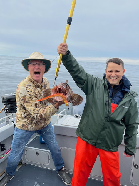 catching a ling cod