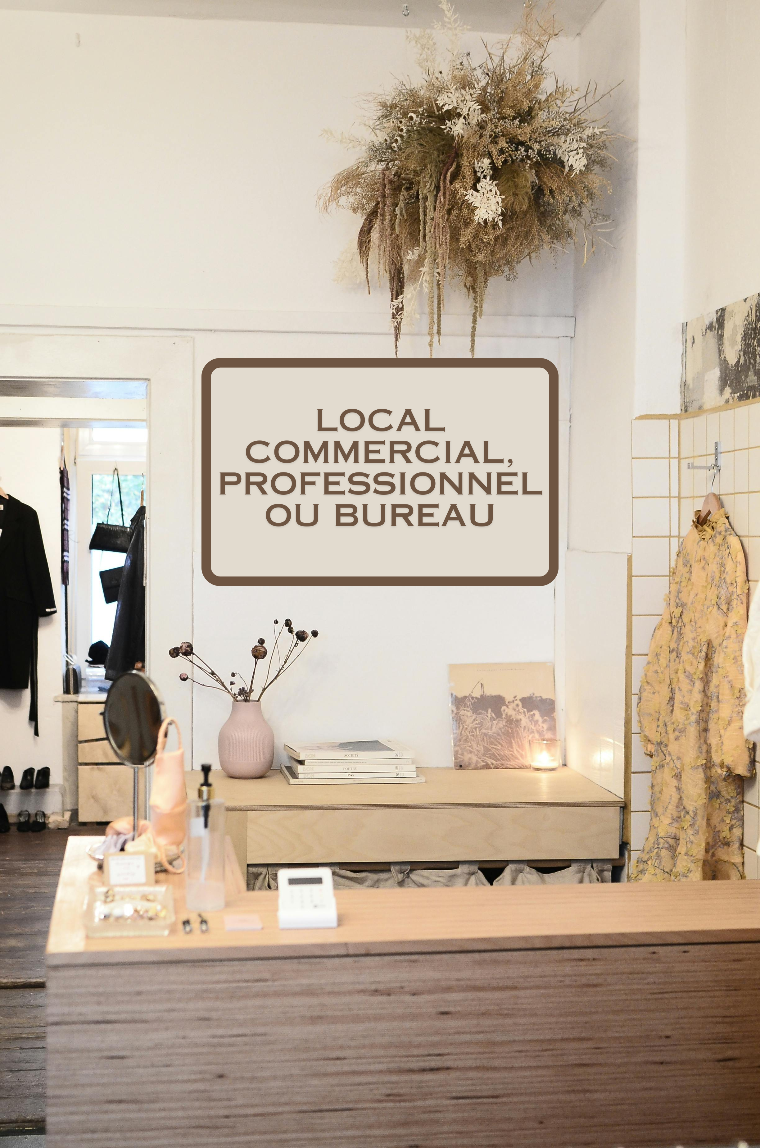 LOCAL PROFESSIONNEL - MURS COMMERCIAUX