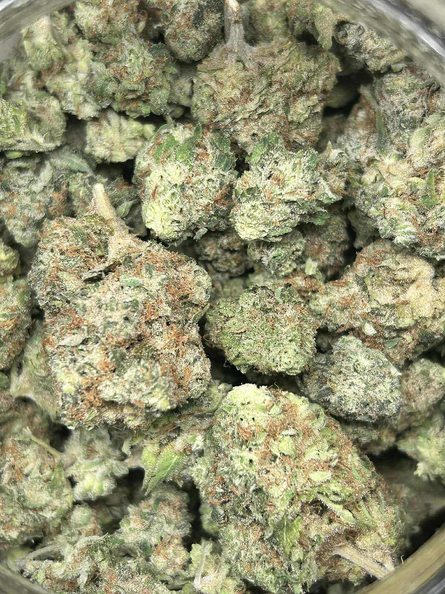 Sativa