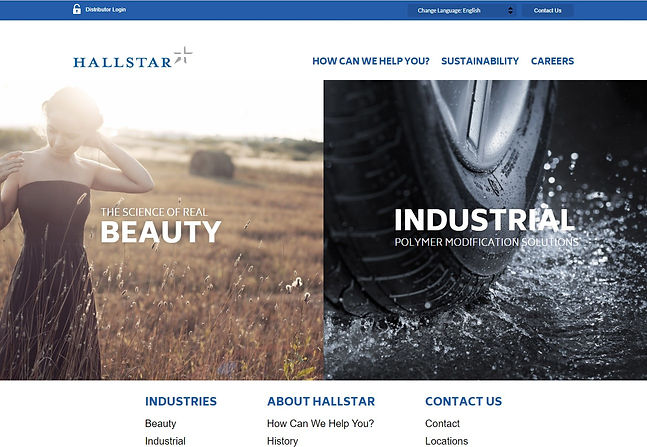 Hallstar Website Home Page.jpg