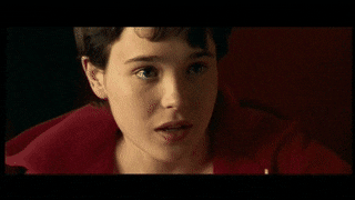 SpanishWildFrigatebird-max-1mb.gif