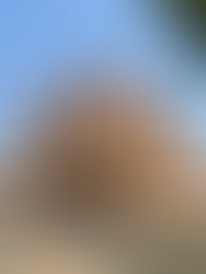 Safdarjung TombSafdarjung Tomb