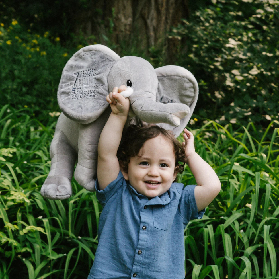 Personalizirana plišasta igrača slonček z velikimi ušesi, primerna za dojenčke.