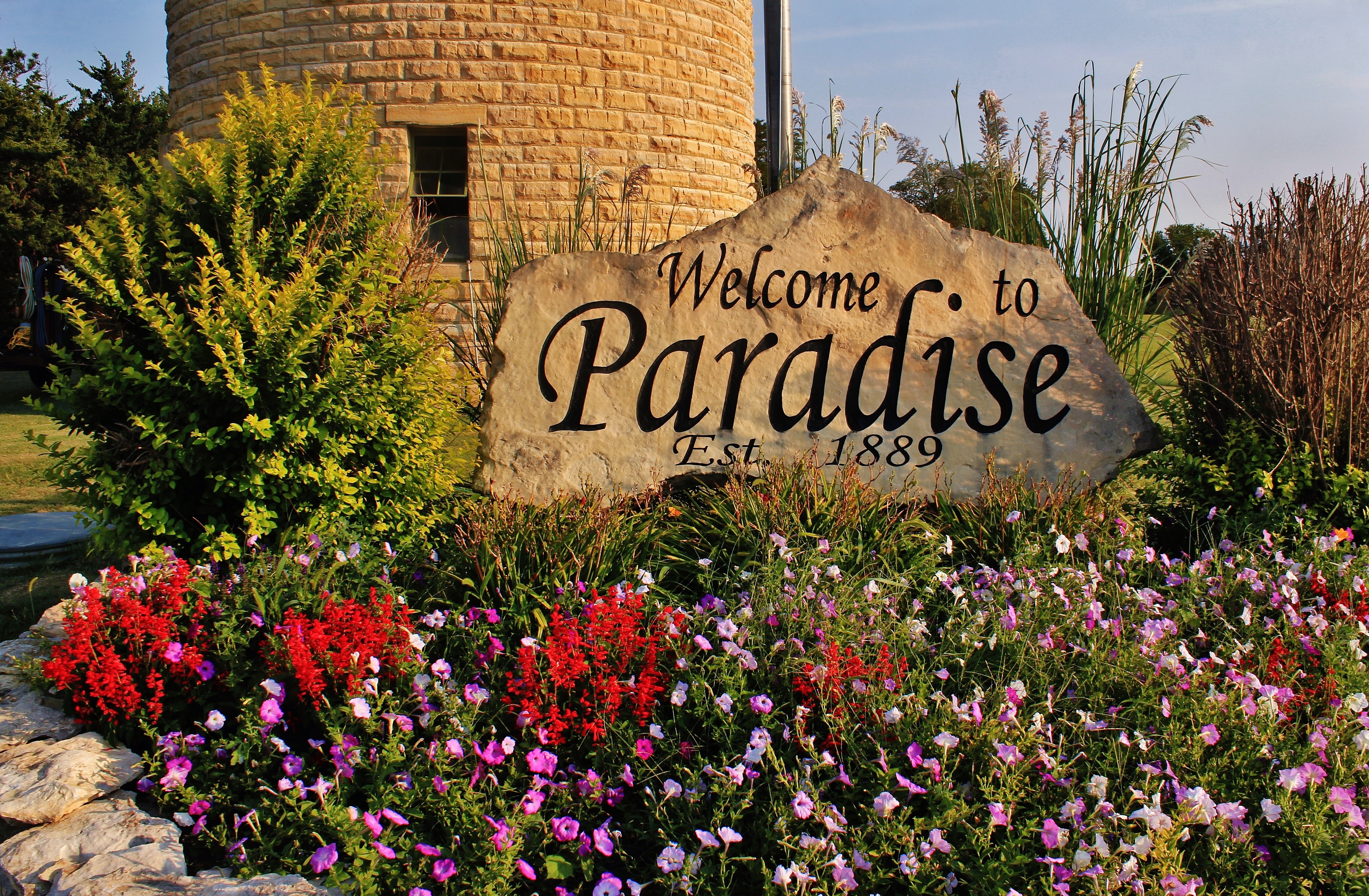 Spring in Paradise