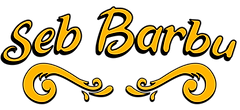 titre-seb-barbu.png