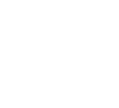 pp-logo 10-Picsart-ImageResizer_edited.png