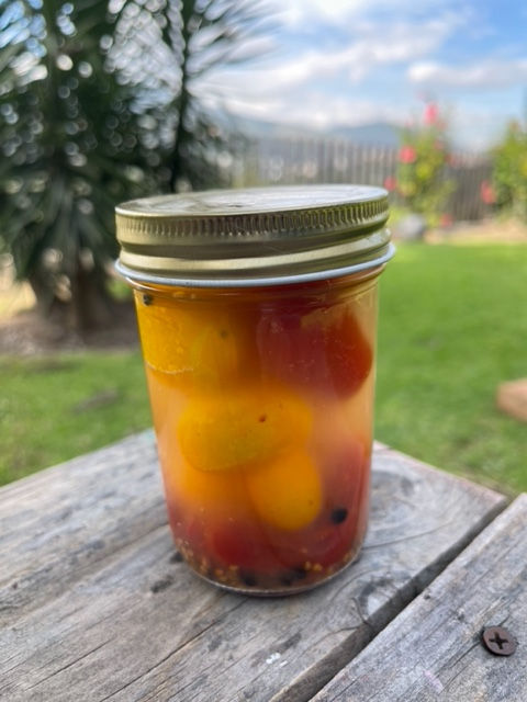 Lacto-Fermented Cherry Tomatoes