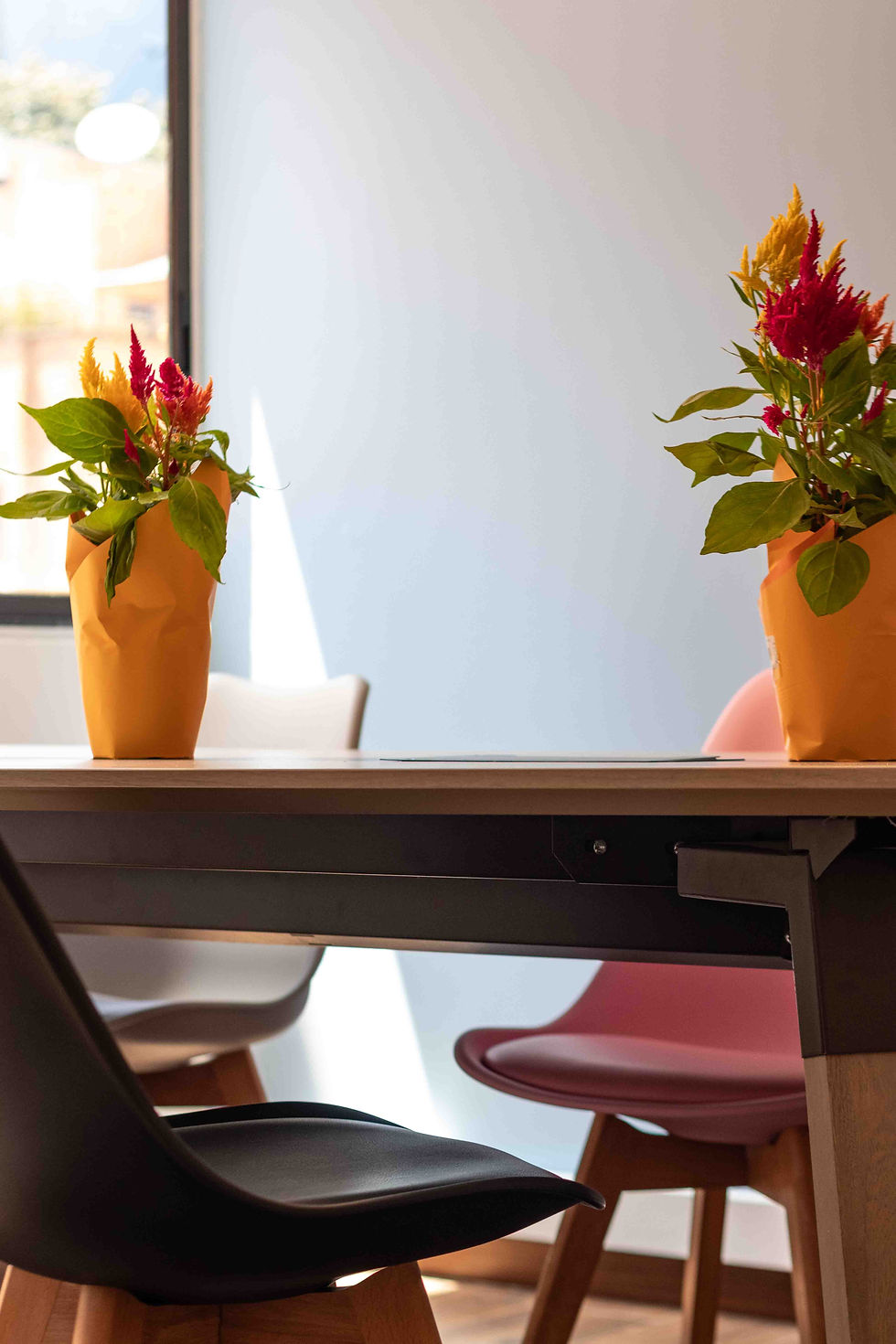 ¿Por qué el diseño de tu espacio de trabajo sí importa?