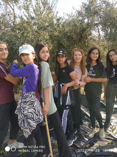 מסיק 6.jpg