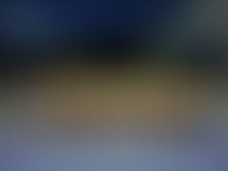 The Season, Sectionals, and Onto State!