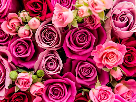 Hearts and Roses