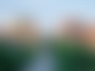 UAB Highlight: A Hidden Gem