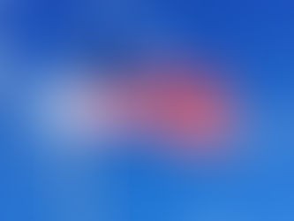 It Just Means More: The Significance of Veterans Day