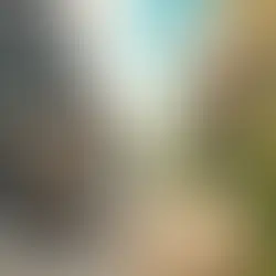 The Hummingbird or the Squirrel