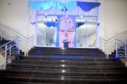 focus fotografias - 1 (22)