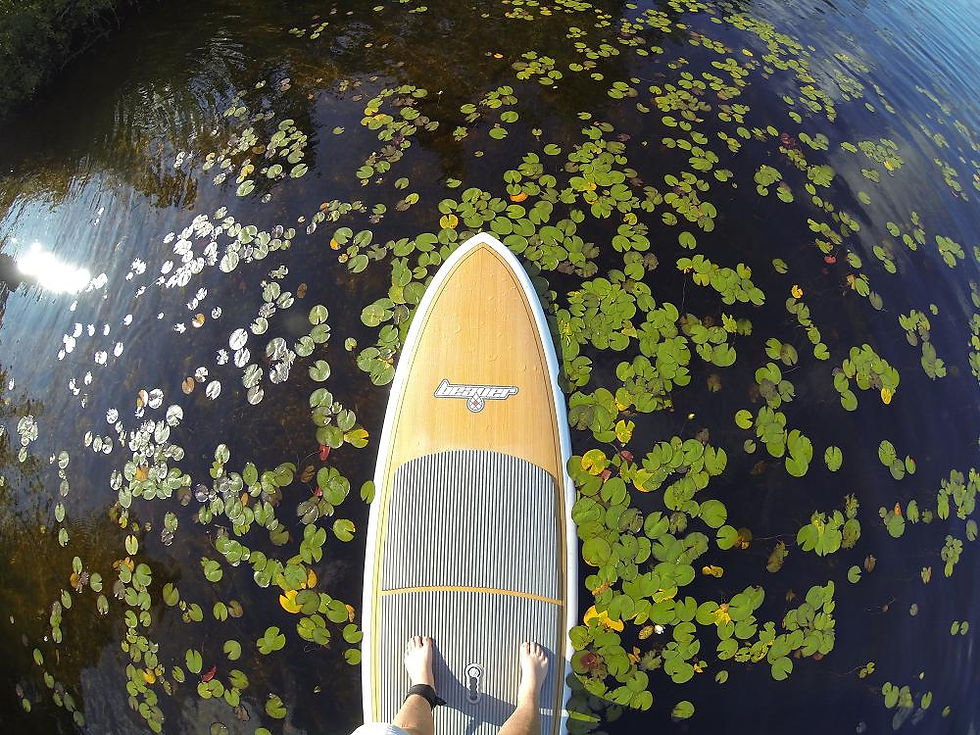 Paddleboard
