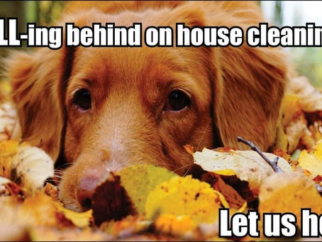 Fall-ing behind in your house cleaning?