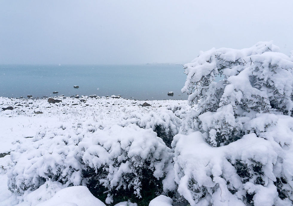 Close-up snapped on the lake shore. At its worst, visibility was down to a couple of hundred metres.