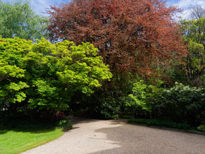 Olveston Historic Home, Dunedin