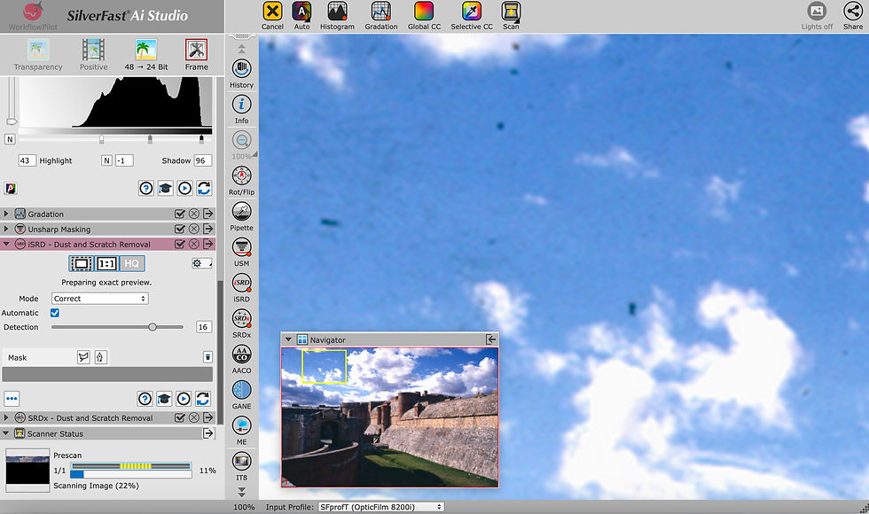Here's a great example of the power of SilverFast software. As you can see the slide is dirty - covered in blobby bits of something and there's also an underlying pattern of very fine scratches - defects to be expected in a slide taken in 1995. I sometimes try cleaning the film using a microfibre cloth and a puffer brush. This can help but it never gets rid of the damage entirely. I read somewhere that some photographers go to the trouble of rewashing the film in warm soapy water. Quite effective but if you are not really careful you run the risk of further damage. I used the puffer brush and, for the second scan, used SilverFast's ISRD (infra red) dust and scratches filter PLUS its ISRDx, which I believe is its post-scan, non-infra red, scratch removing filter (see below).