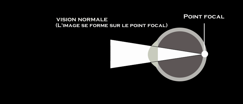 ezgif.com-gif-maker(1).gif