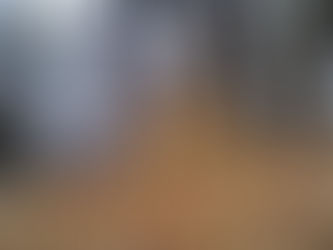 Tigre, léopard, lynx et un chat sauvage capturé dans la même zone à Primorye