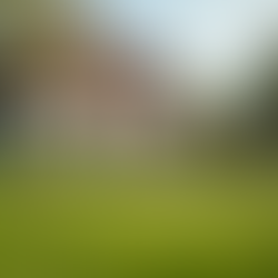 Investing 101: Build Generational Wealth Effectively