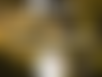 Forest&Life rejoint officiellement le mouvement 1% for the Planet !