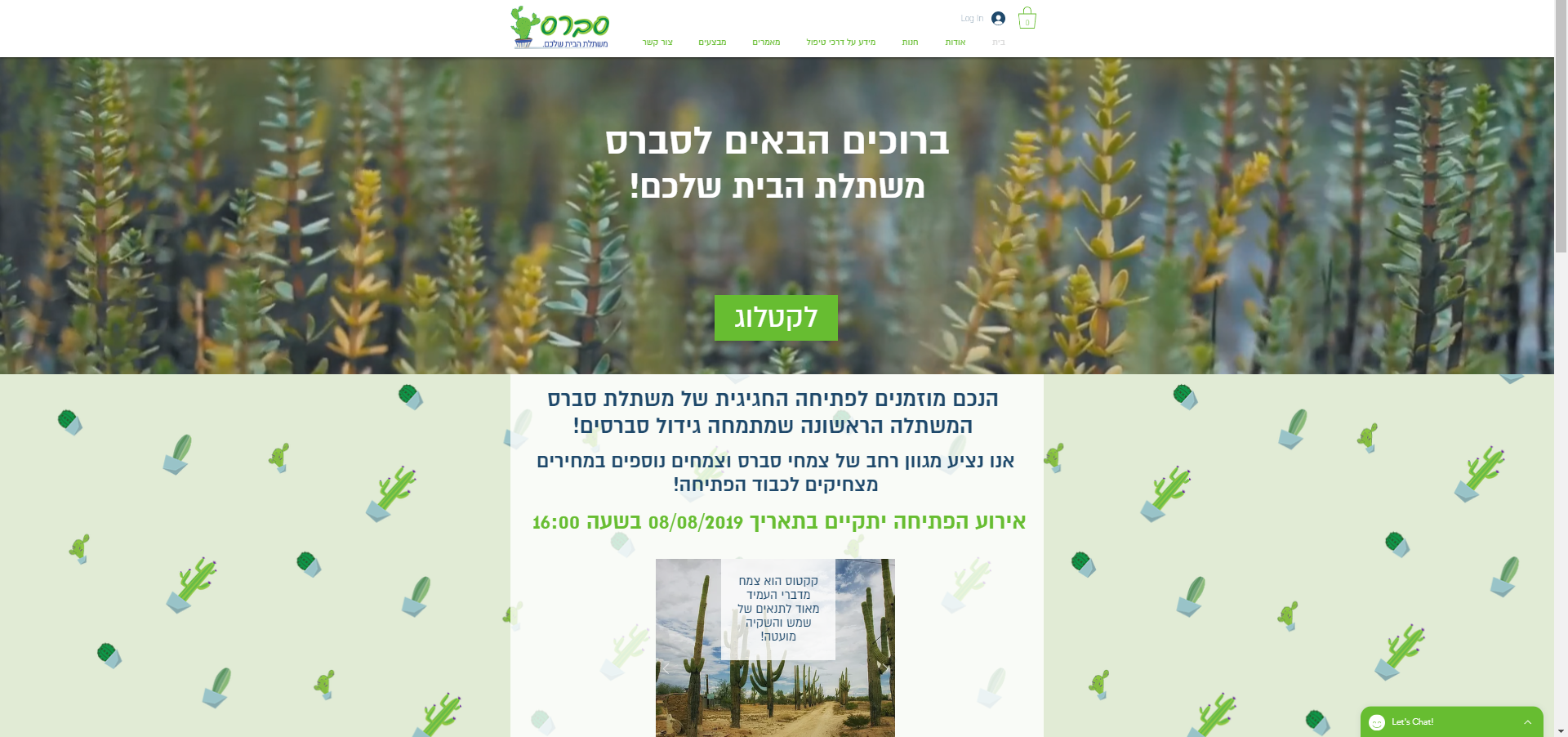 אביב עומרי שלייסר -עיצוב אתר