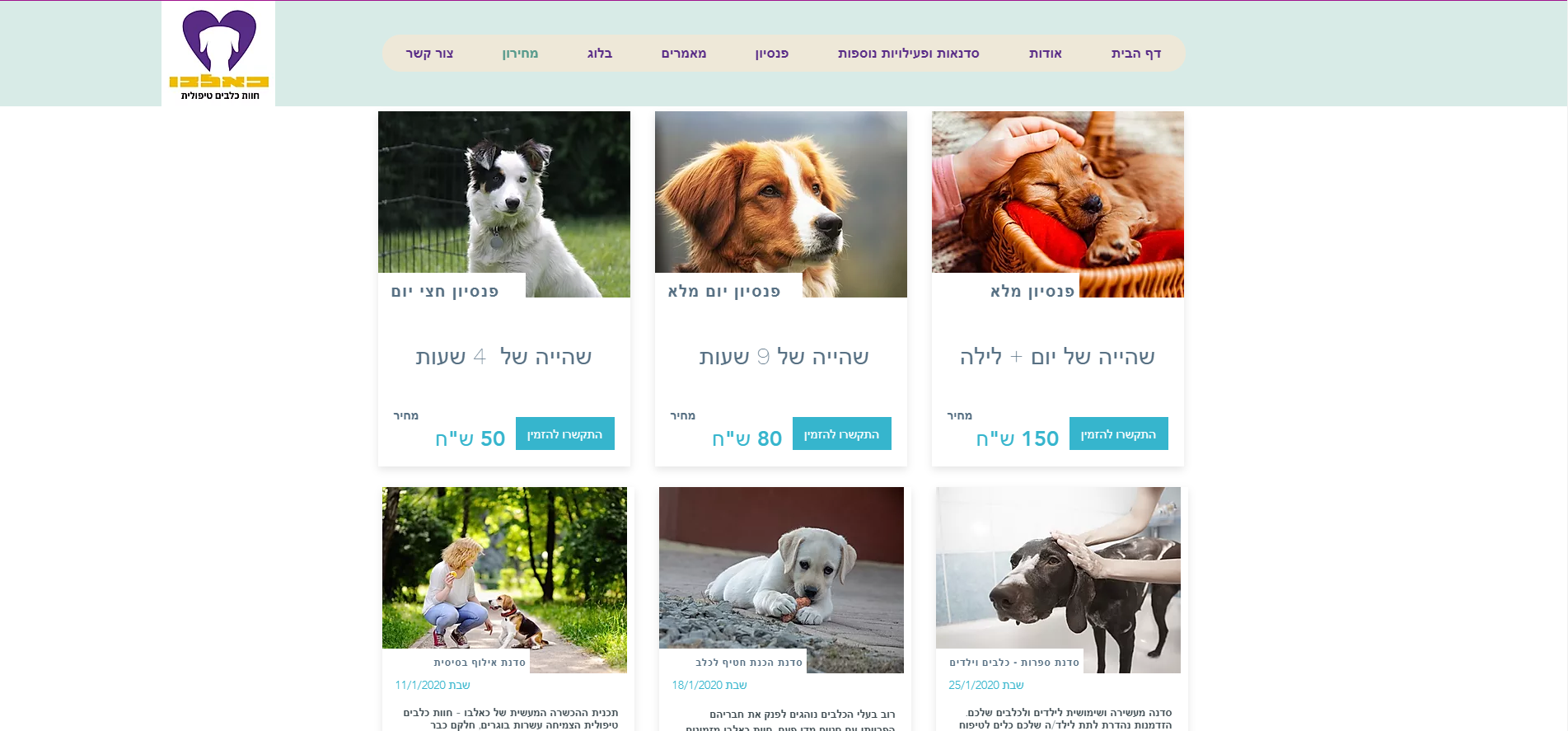 איילת תמיר - עיצוב אתר