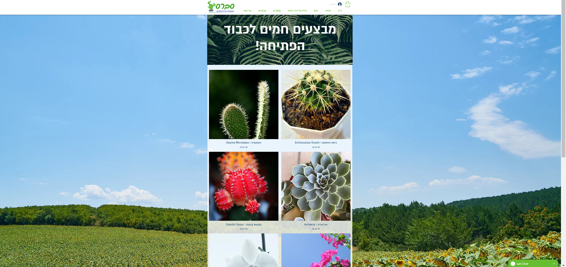 אביב עומרי שלייסר -עיצוב אתר