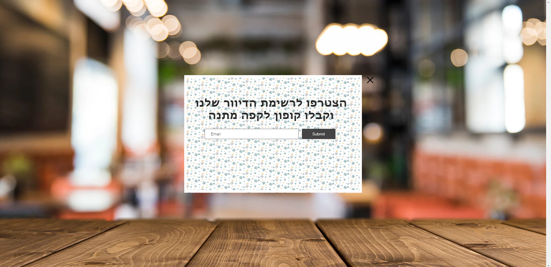 סהר ונונו - עיצוב אתר