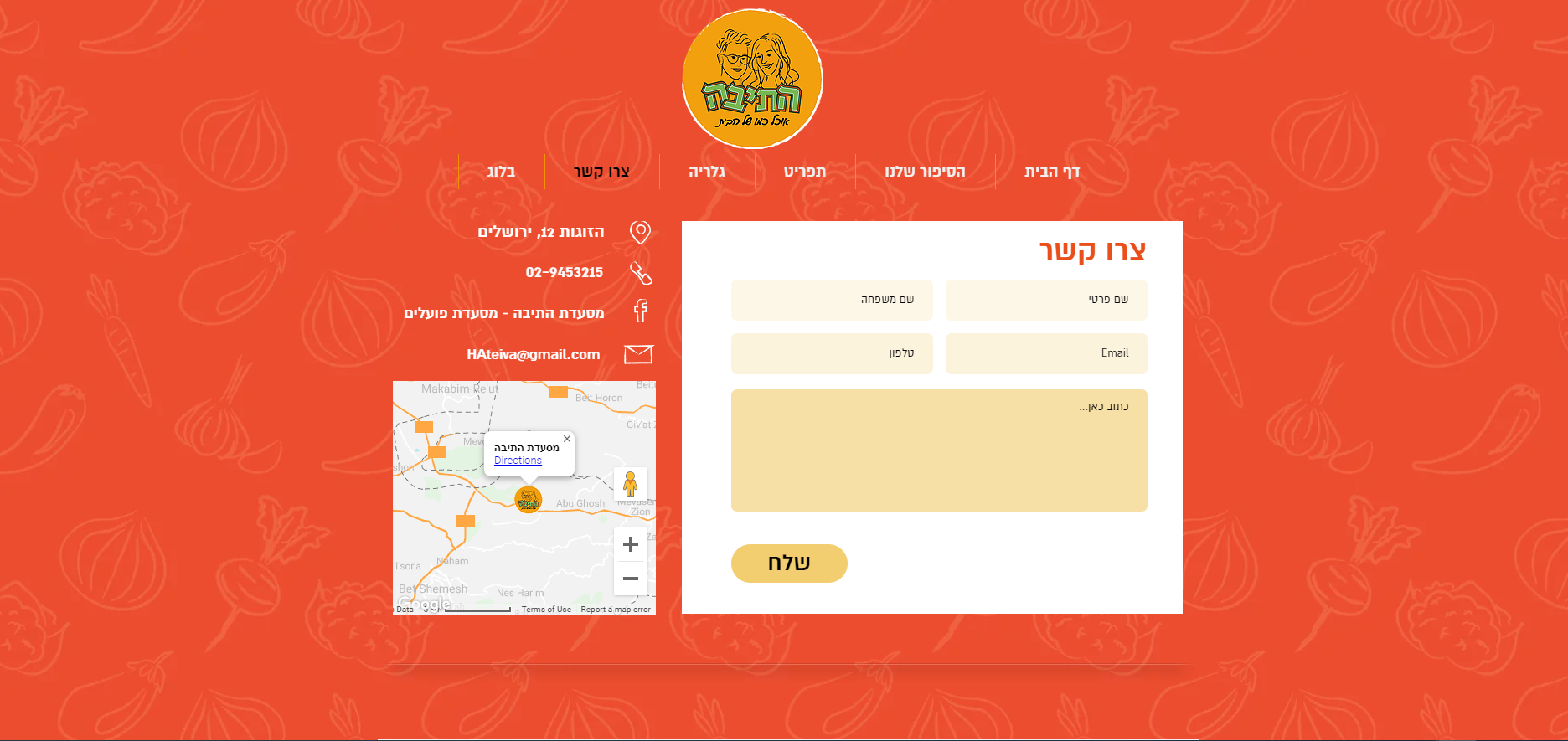 נעמה וזאנה - עיצוב אתר